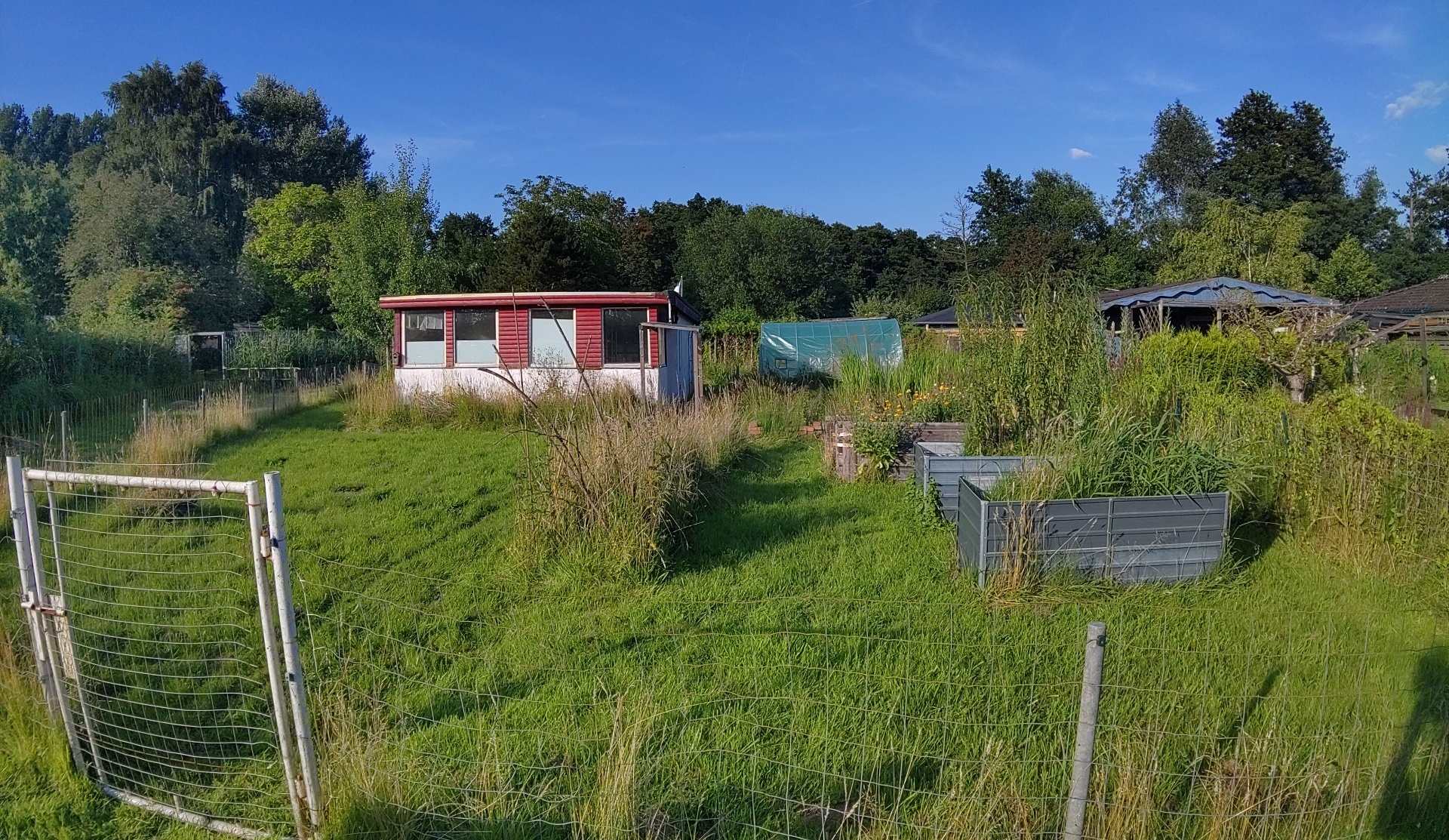 Mein Garten im Ur-Zustand
