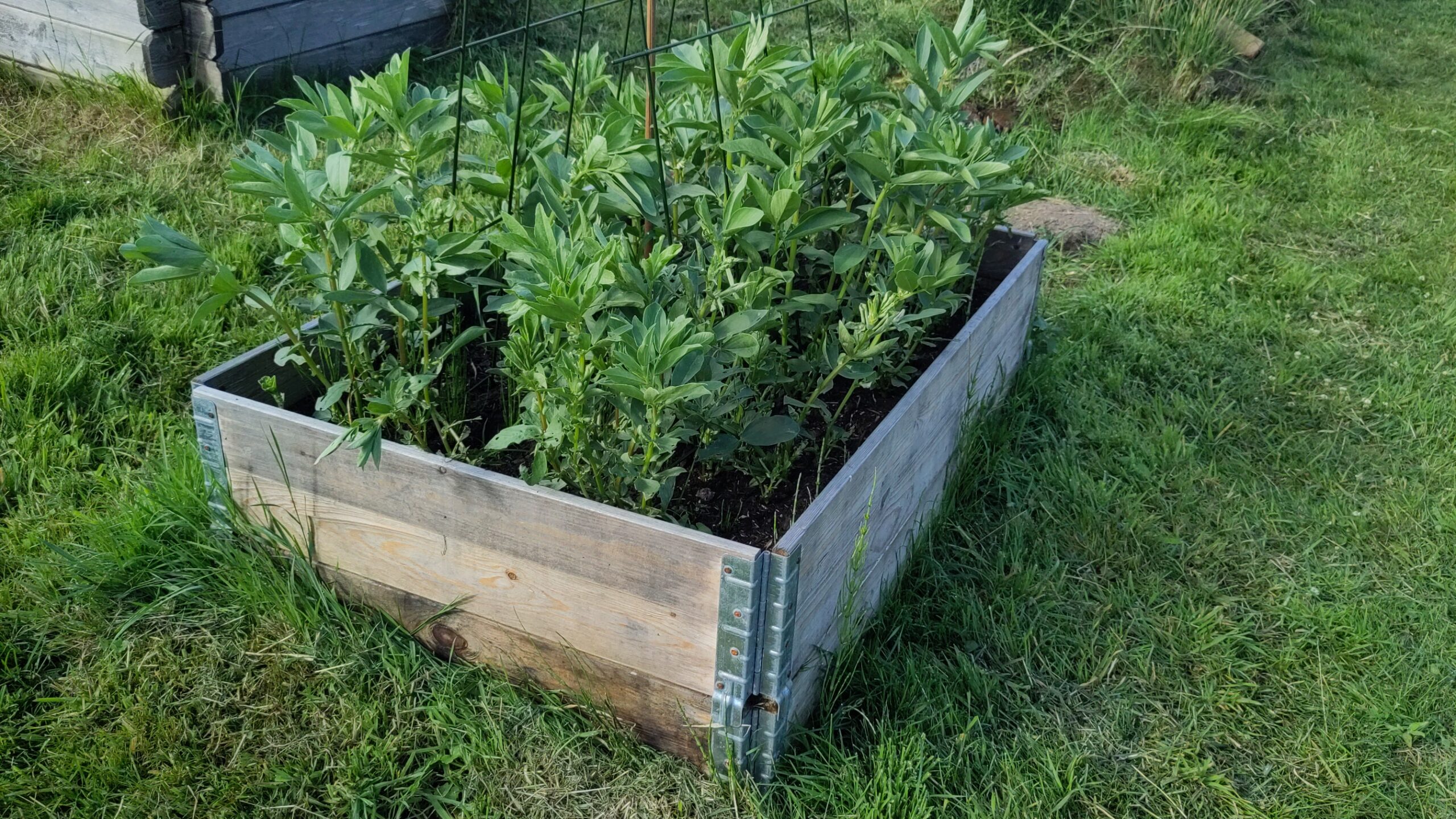 Hochbeet ohne alles