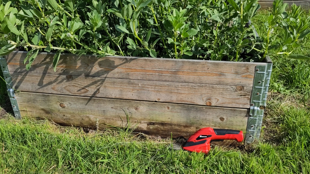 Grasschere zum Freischneiden von Hochbeeten