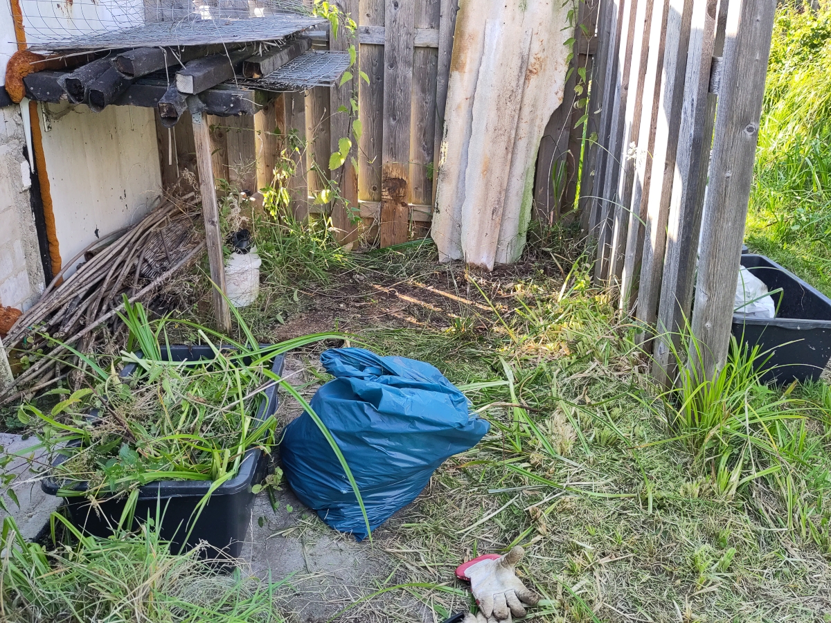 Entrümpeln und Bewuchs entfernen: Teile mit Schachtelhalm in den Sack, alles andere in die Wanne